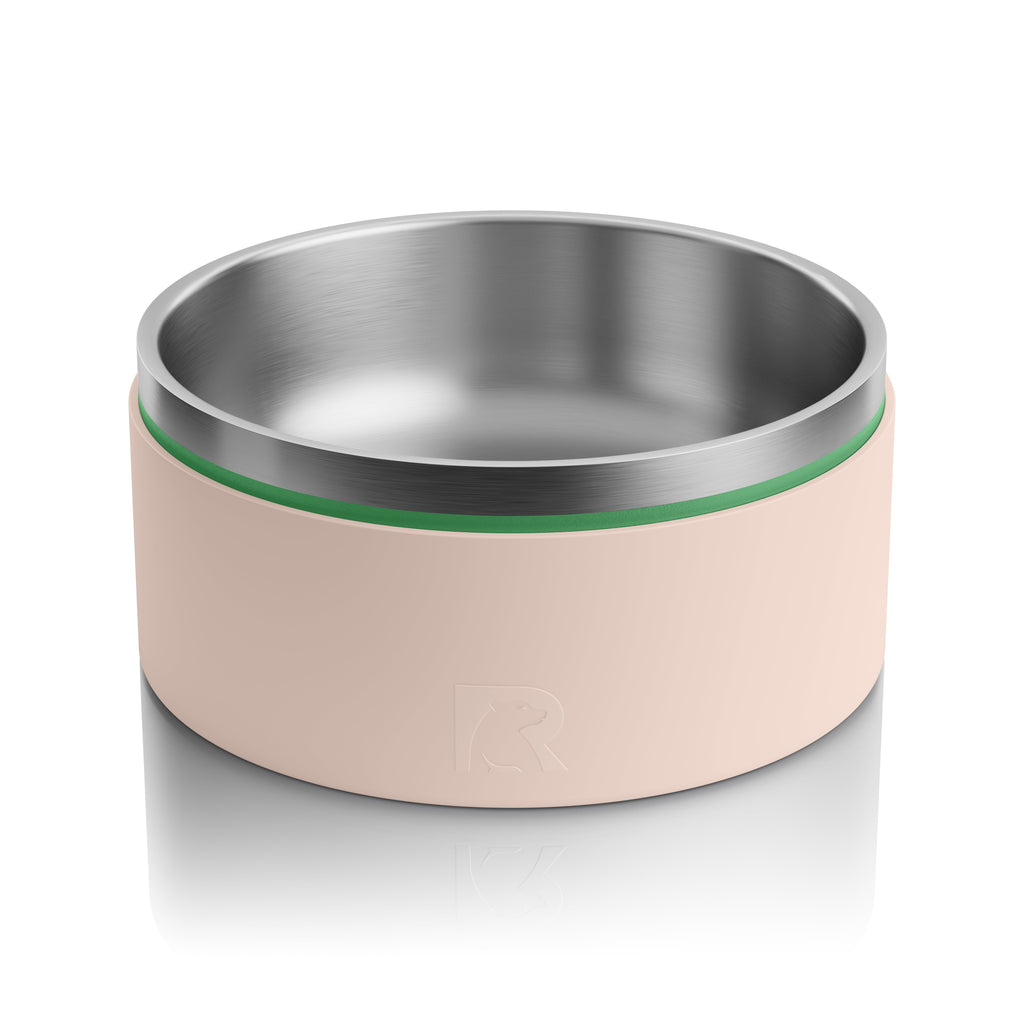 3-In-1 Dog Bowl