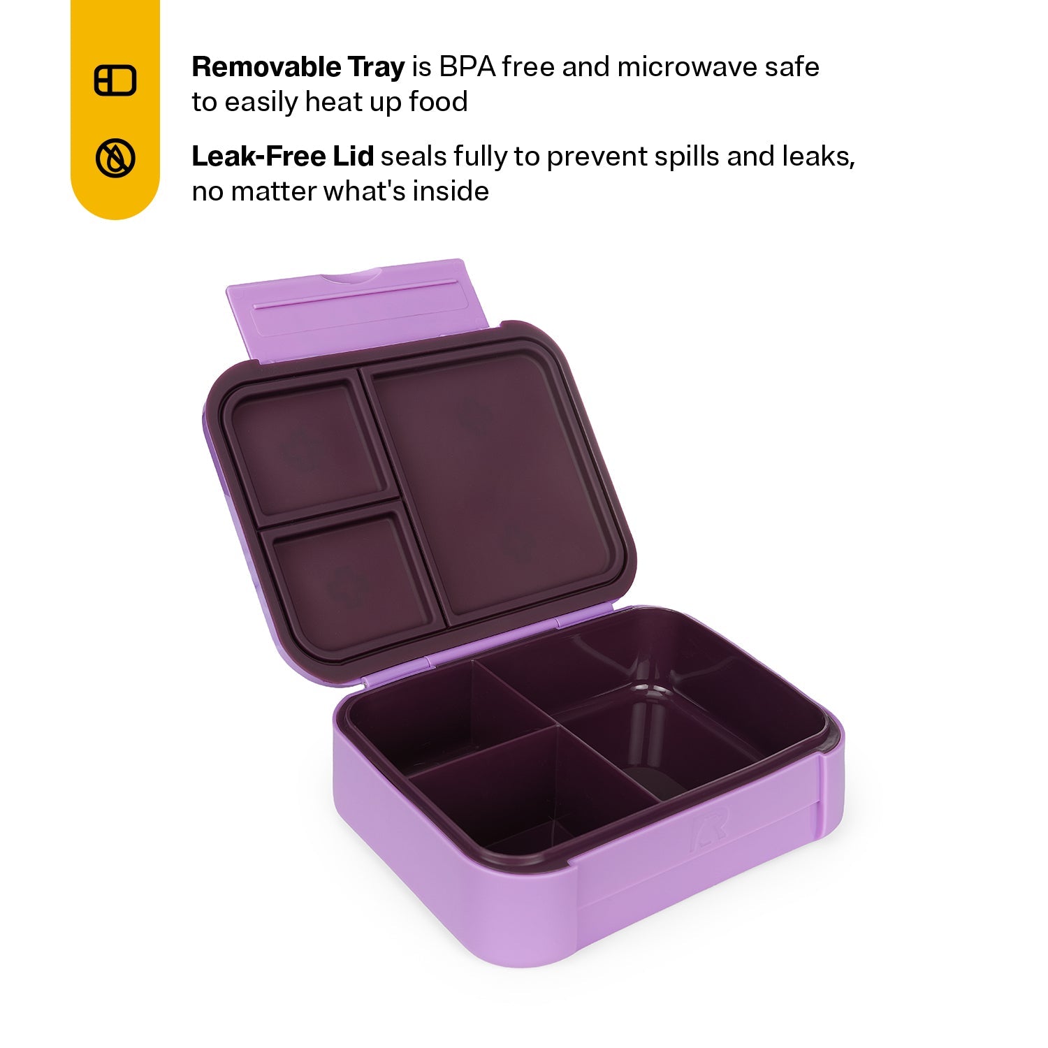Day Packer Lunch Container
